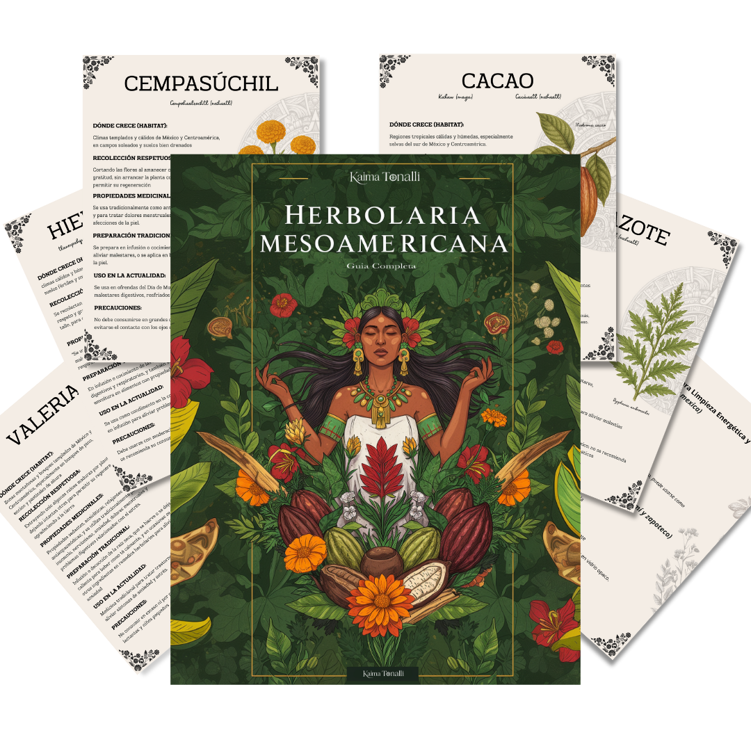 Guía Herbolaria Mesoamericana (PDF descargable)